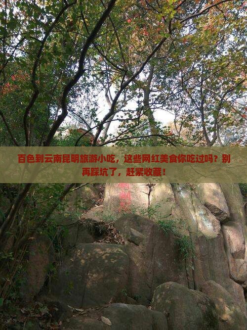 百色到云南昆明旅游小吃