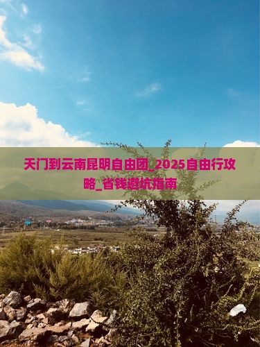 天门到云南昆明自由团