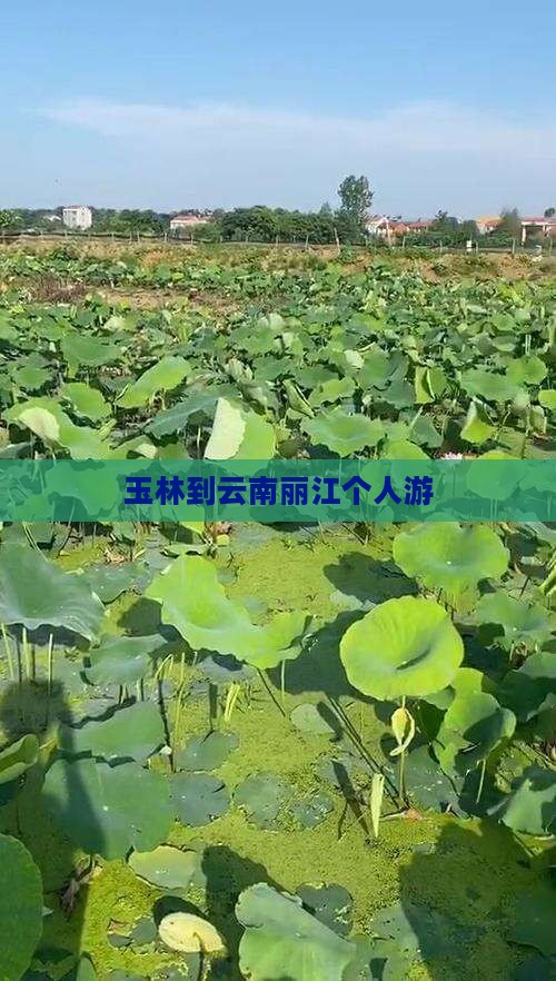 玉林到云南丽江个人游