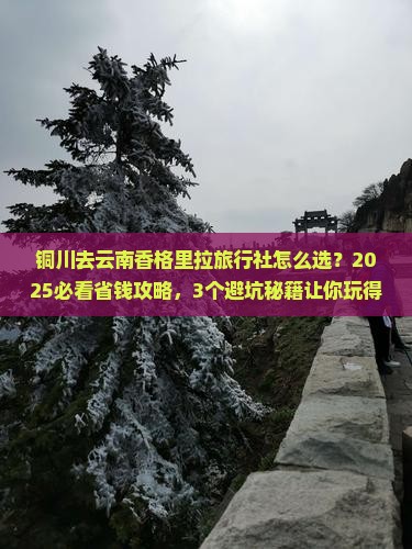 铜川去云南香格里拉旅行社
