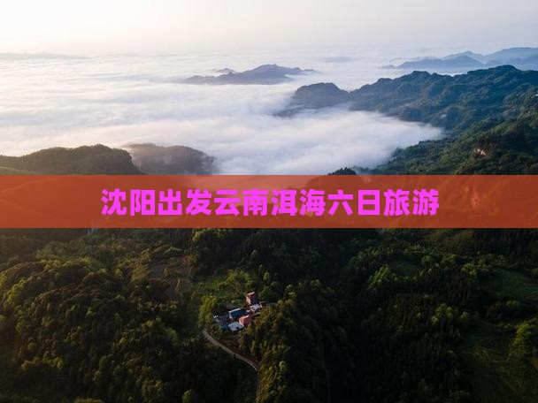 沈阳去云南洱海六日游