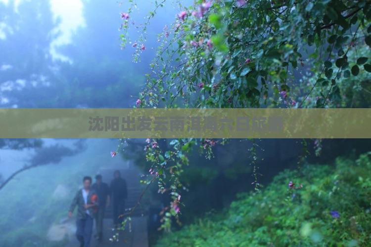 沈阳去云南洱海六日游