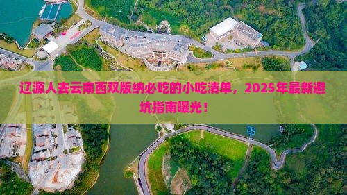 辽源去云南西双版纳旅游小吃