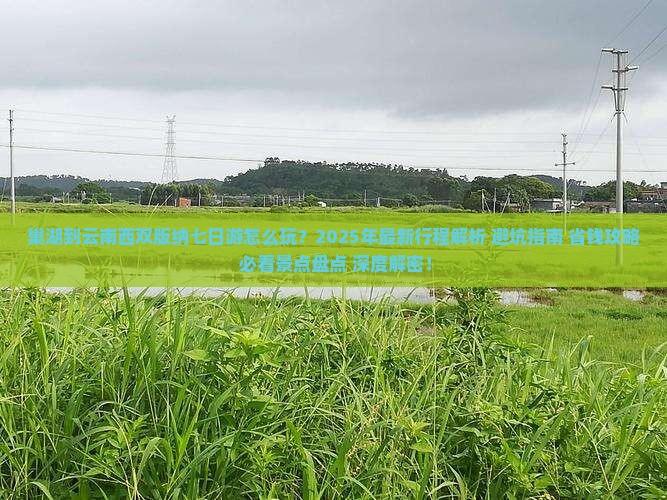 巢湖到云南西双版纳七日游