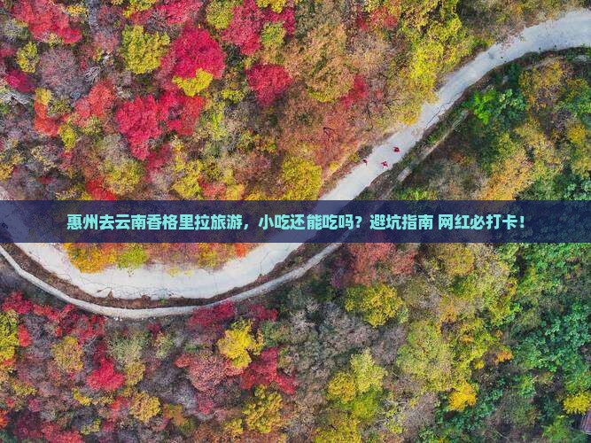 惠州去云南香格里拉旅游小吃