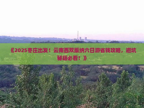 枣庄到云南西双版纳六日游