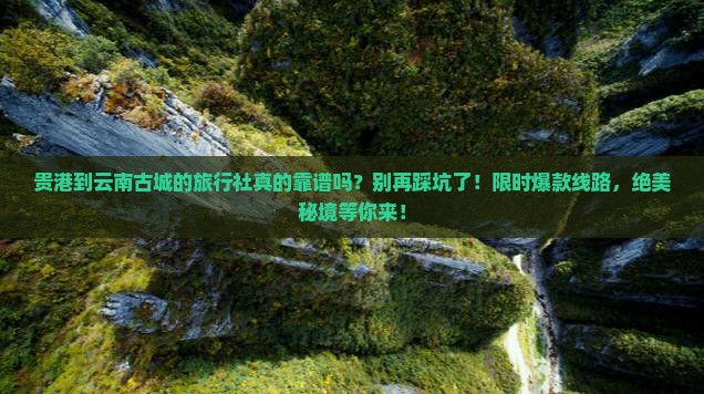 贵港到云南古城旅行社
