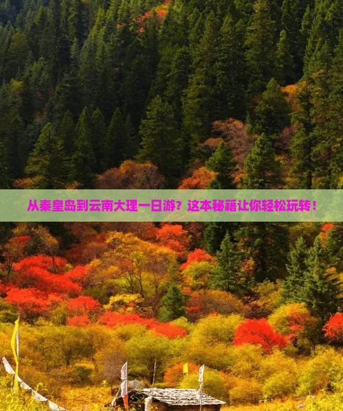 秦皇岛去云南大理一日