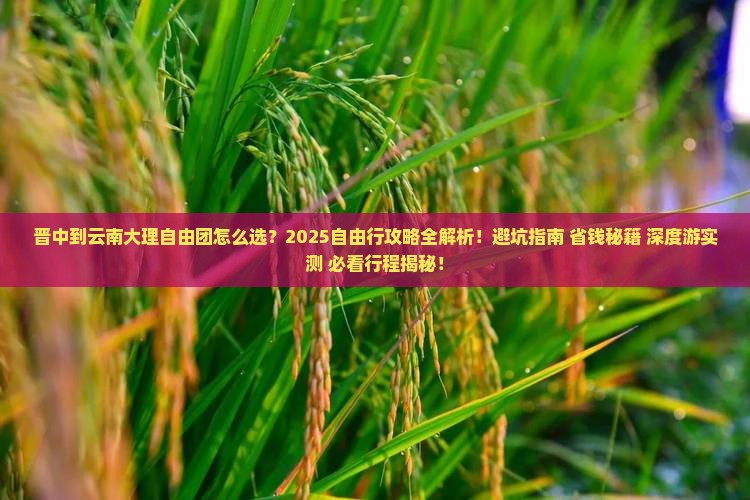晋中到云南大理自由团