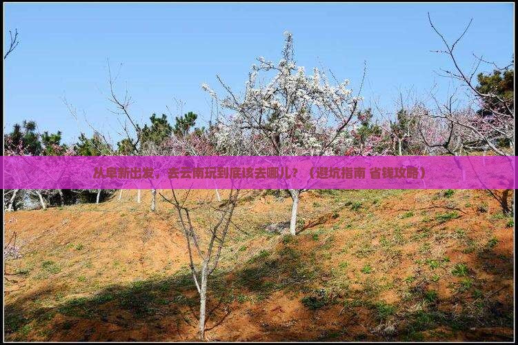 阜新去云南哪里玩