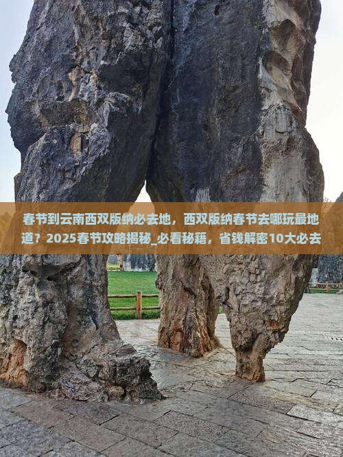春节到云南西双版纳必去地