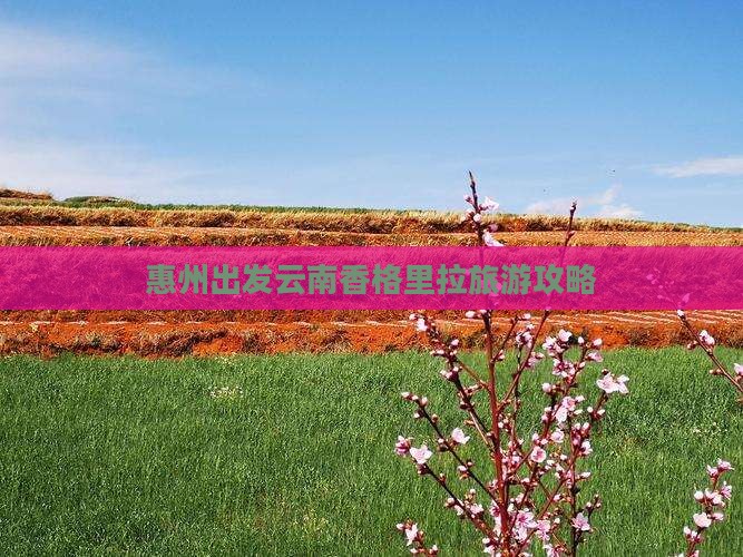 惠州到云南香格里拉旅游