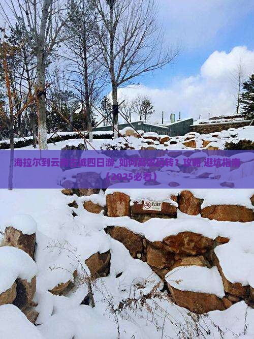 海拉尔到云南古城四日游