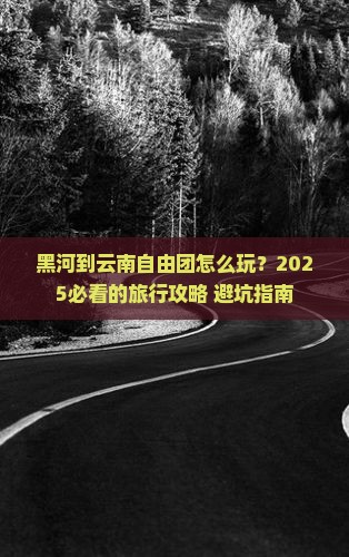 黑河到云南自由团