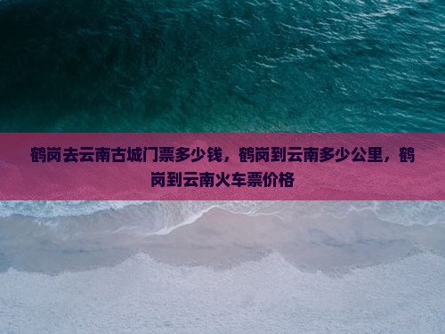 鹤岗去云南古城门票