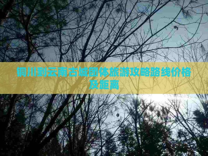 铜川到云南古城团体旅游
