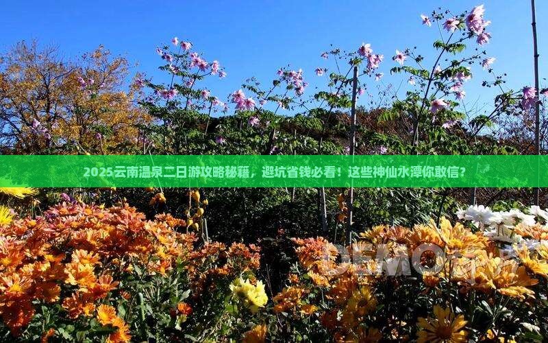阿里到云南温泉二日游