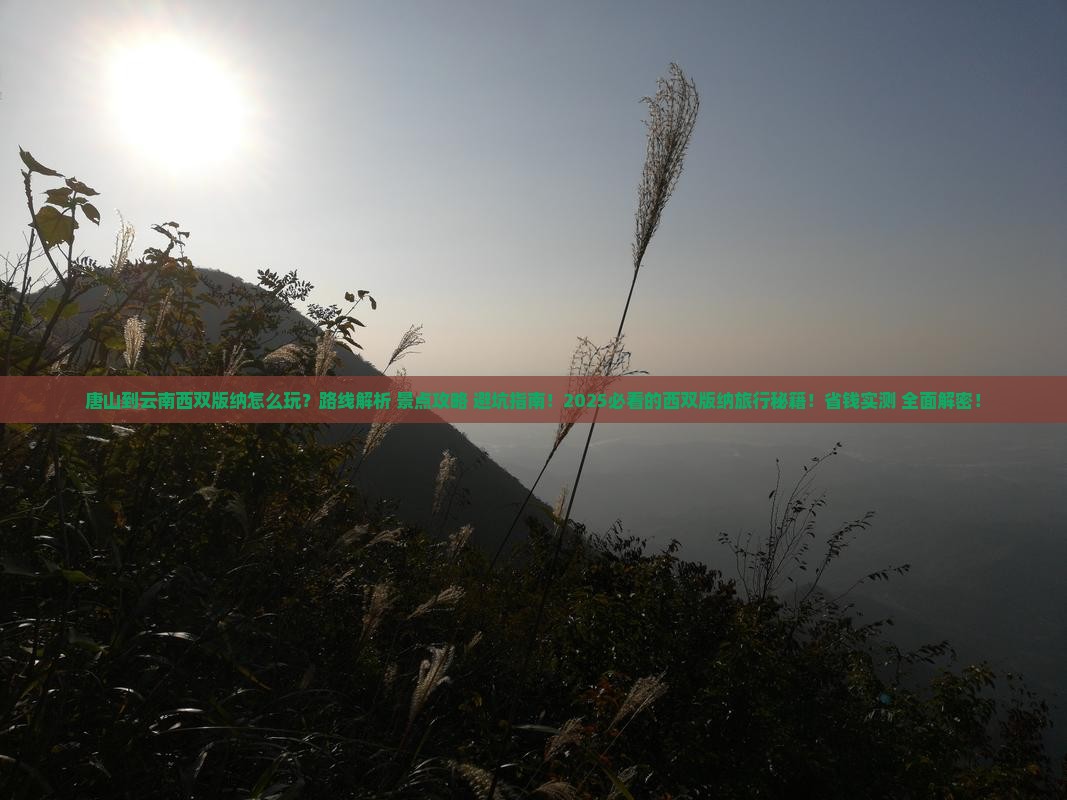 唐山到云南西双版纳哪里玩