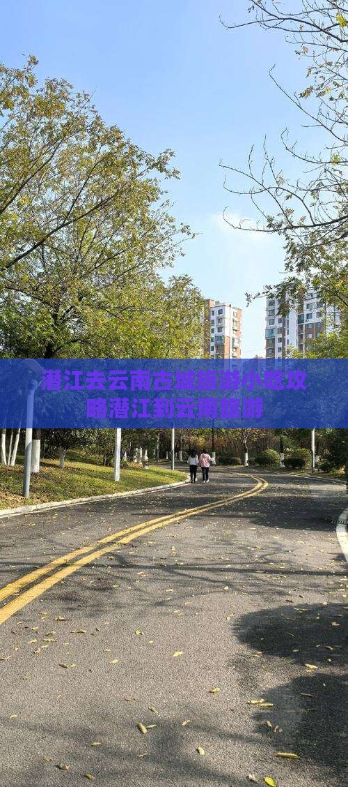 潜江去云南古城旅游小吃