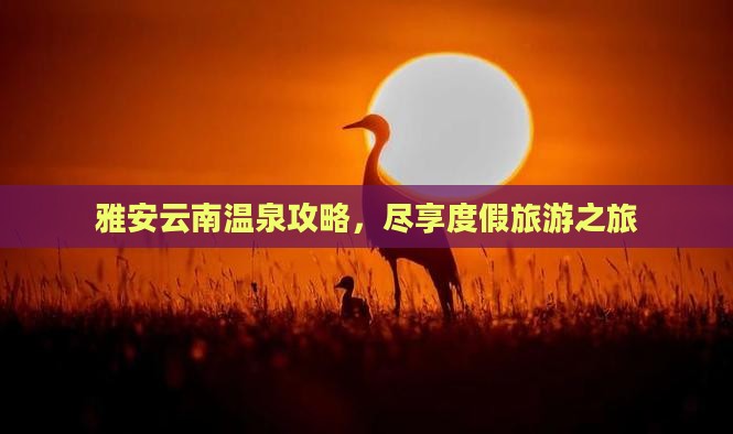 雅安去云南温泉大型旅游团