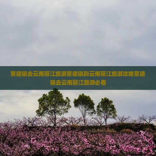 景德镇去云南丽江旅游