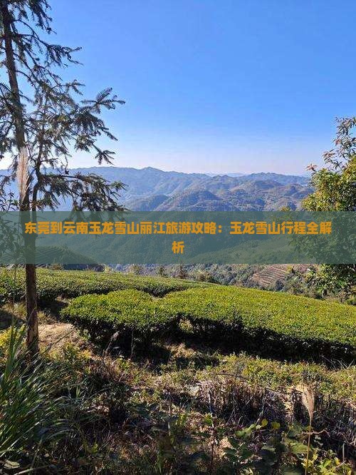 东莞到云南玉龙雪山旅行社 东莞到云南玉龙雪山旅行社
