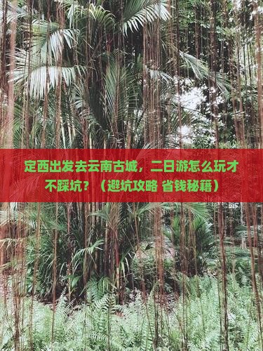 定西去云南古城二日游