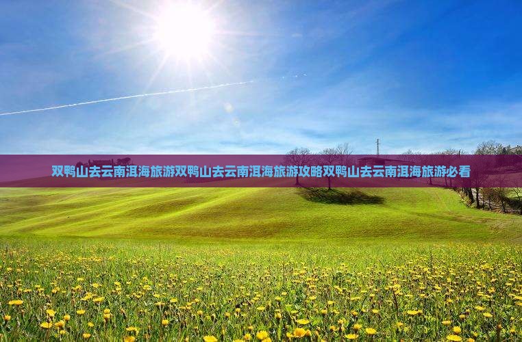 双鸭山去云南洱海旅游