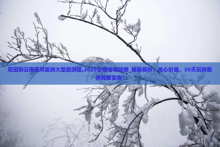 和田到云南西双版纳大型旅游团