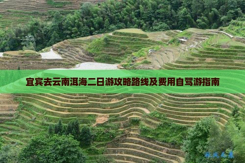 宜宾去云南洱海二日游