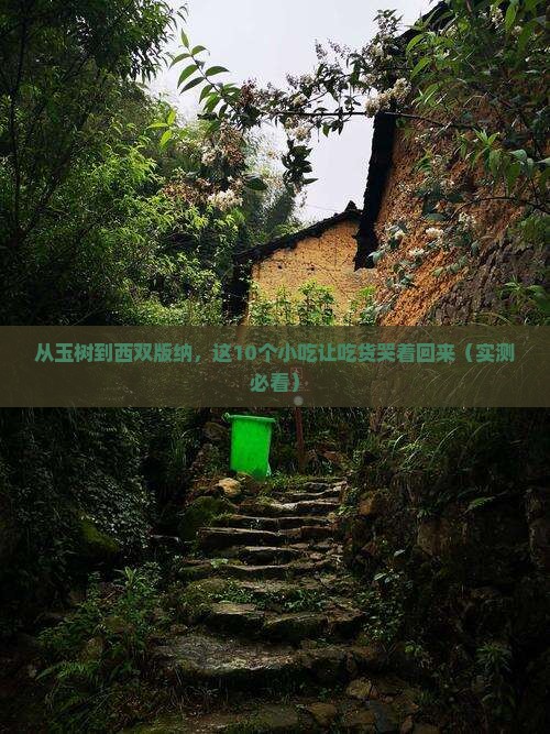 玉树到云南西双版纳旅游小吃