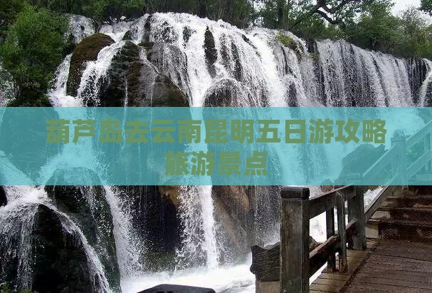 葫芦岛去云南昆明五日游