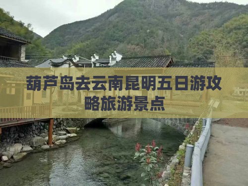 葫芦岛去云南昆明五日游
