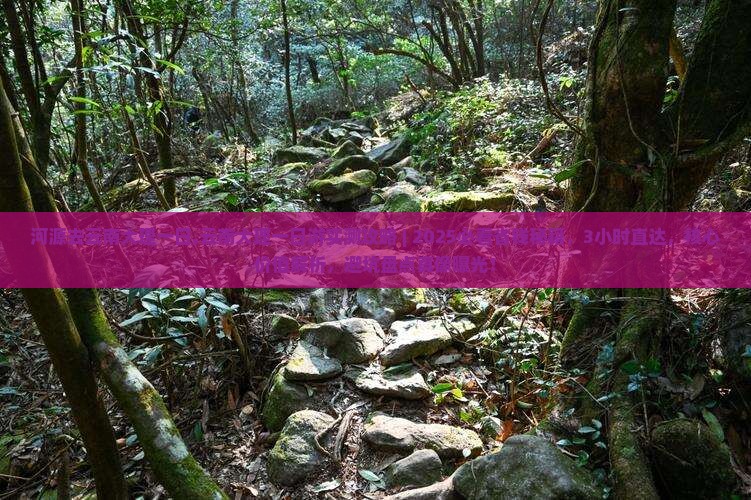 河源去云南大理一日