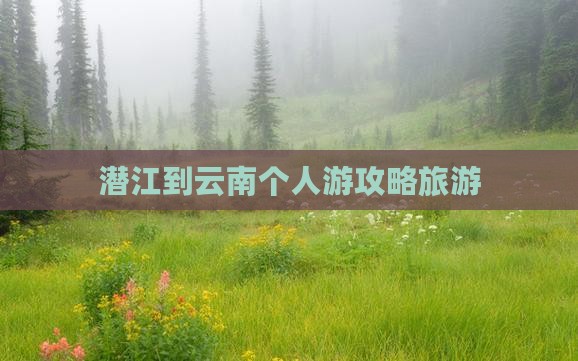 潜江到云南个人游