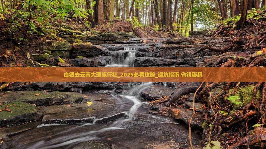 白银去云南大理旅行社
