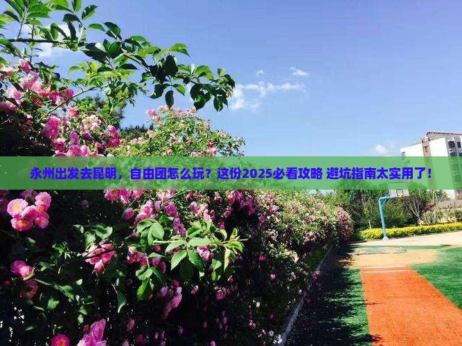 永州到云南昆明自由团