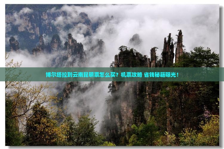 博尔塔拉到云南昆明门票