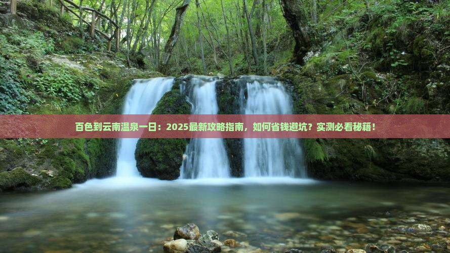 百色到云南温泉一日