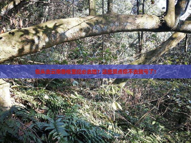 包头去云南香格里拉必去地