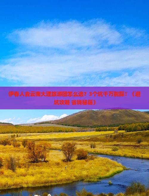 伊春去云南大理大型旅游团