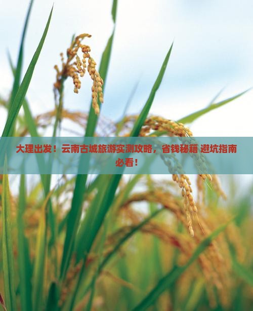 大理到云南古城旅游