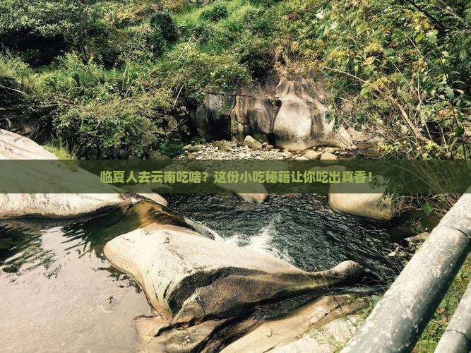 临夏去云南旅游小吃