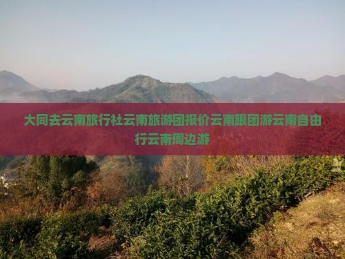 大同去云南旅行社
