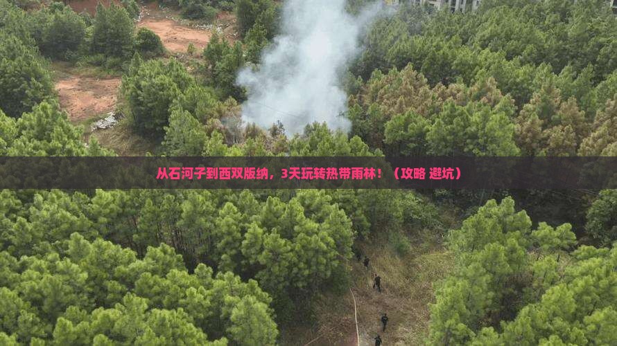 石河子去云南西双版纳哪里玩