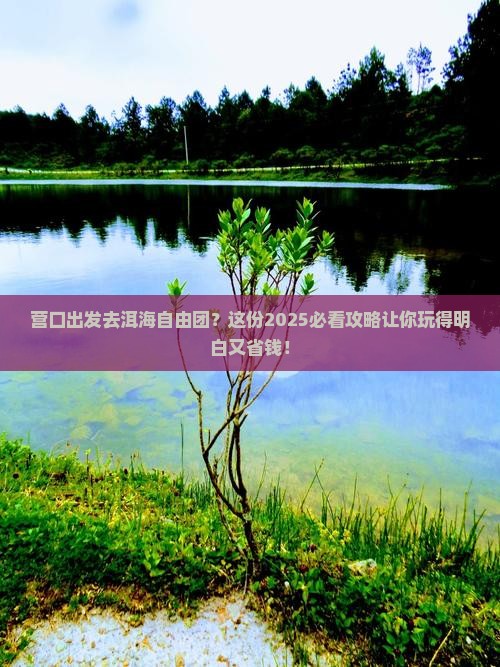营口去云南洱海自由团