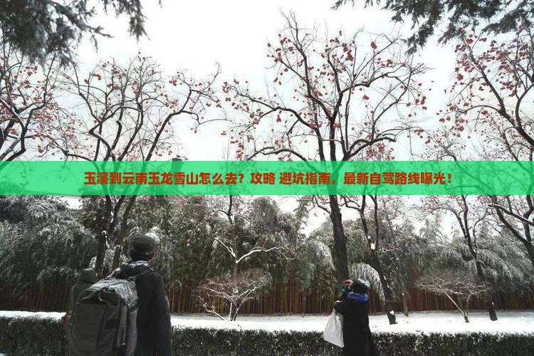 玉溪到云南玉龙雪山旅游