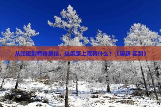 哈密到云南香格里拉景点