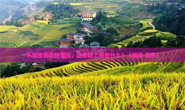 哈密到云南香格里拉景点