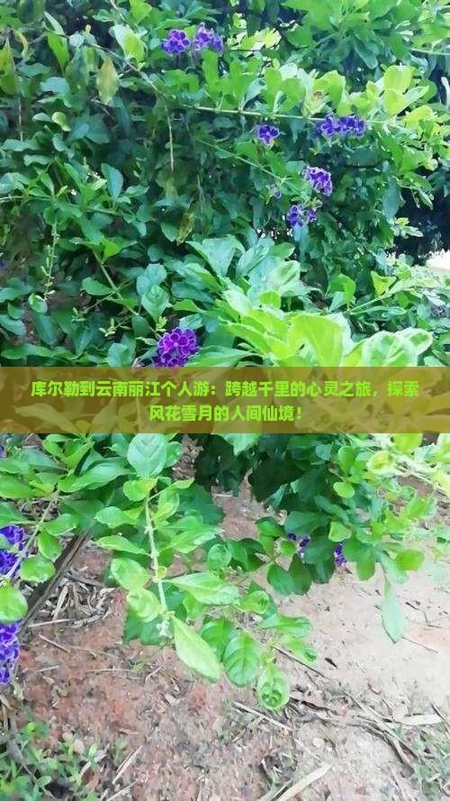 库尔勒到云南丽江个人游